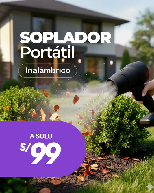 Soplador Portátil de alta potencia